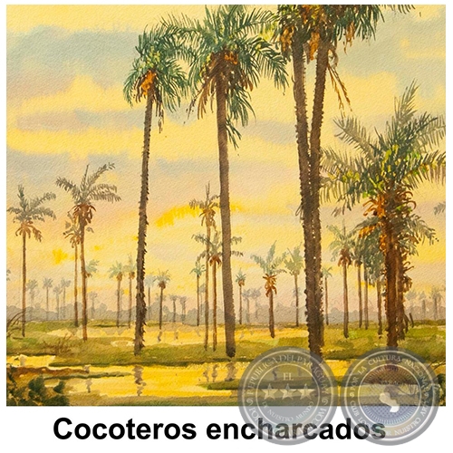 Cocoteros encharcados - Obra de Emili Aparici